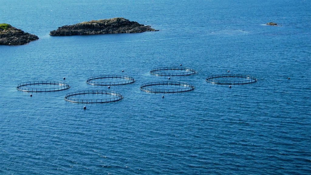 Page 15 | Aquaculture Development Images - Free Download on Freepik